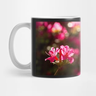 Pink Azalea Flowers Mug